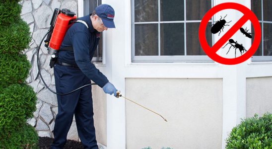 Karatay Böcek ve Haşere İlaçlama böcek ilaçlama ve haşere kontrolü — ilaclama-tr.com